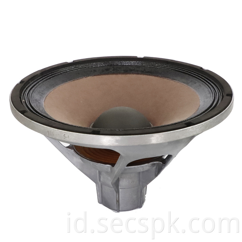 10inch Pa Speaker